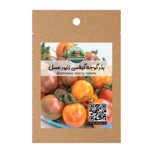 گوجه گیلاسی